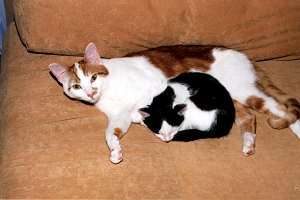 A Pani nie daje nam spa, tylko wci robi zdjcia!